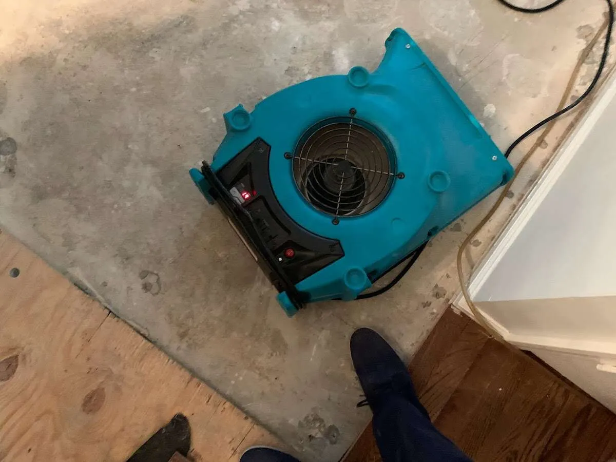 Air mover drying subfloor during Commercial Water Damage Restoration in Dixon